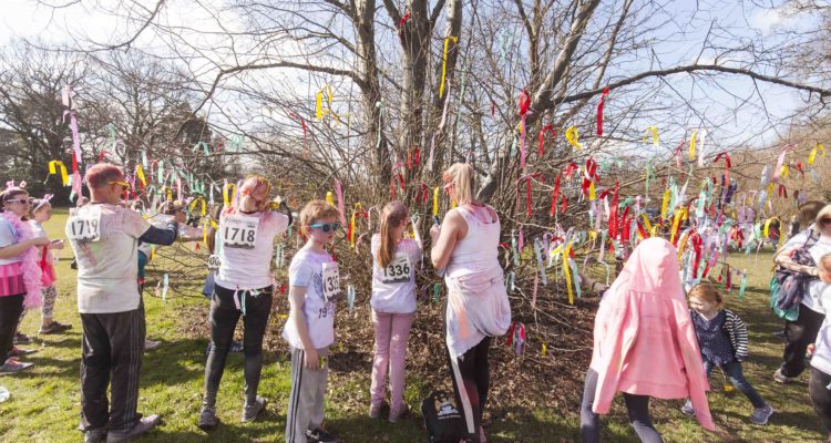 Colour Run 2016 Memory Tree Wythenshawe Park fundraising event ribbons