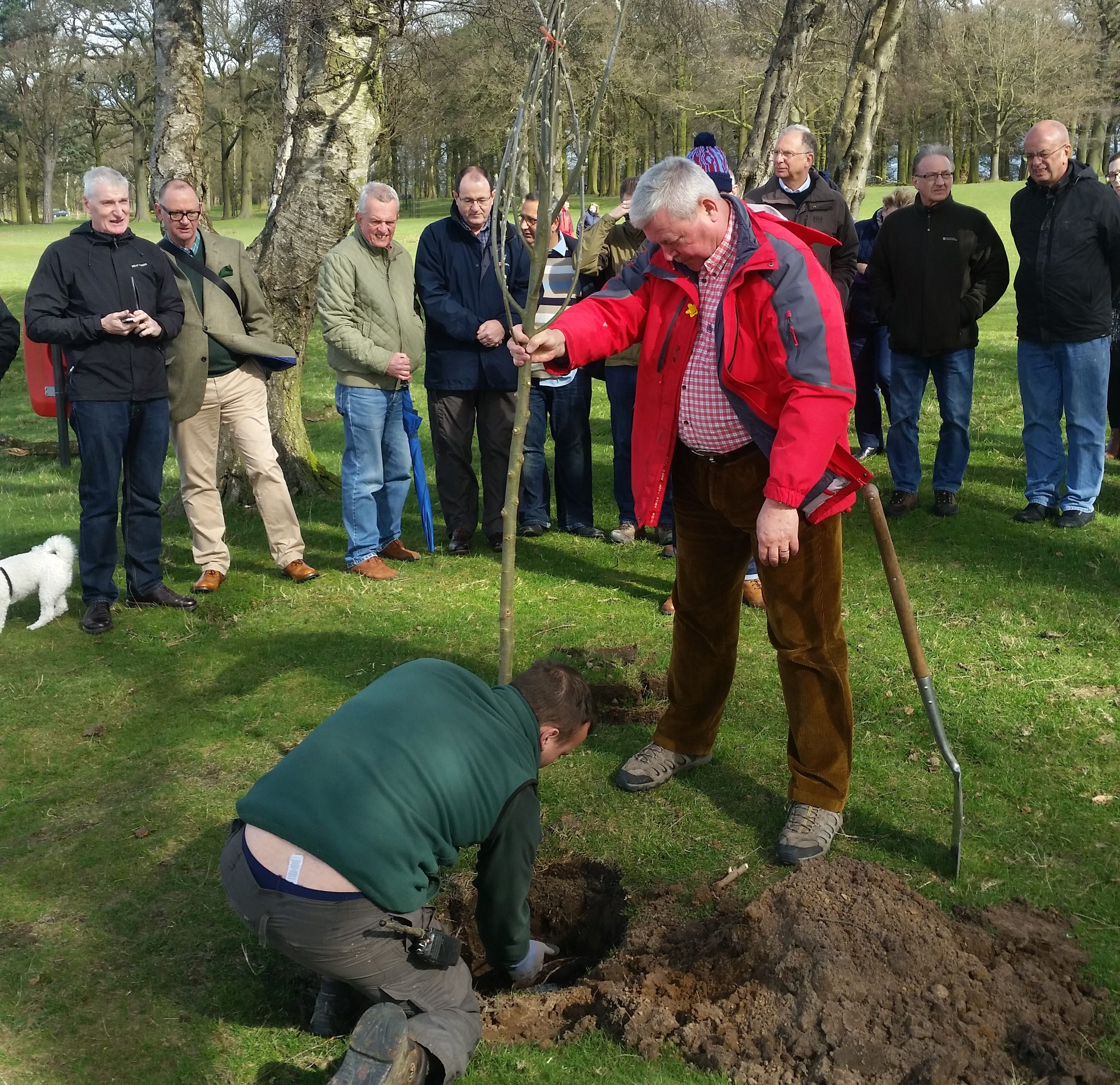 David Rhodes planting a tree