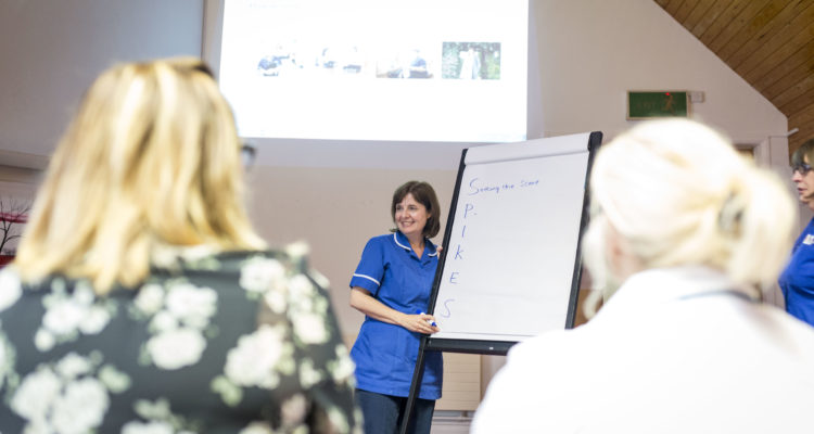 Nurse leading a training session